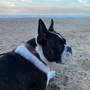 Meet your Posher, Gabriel